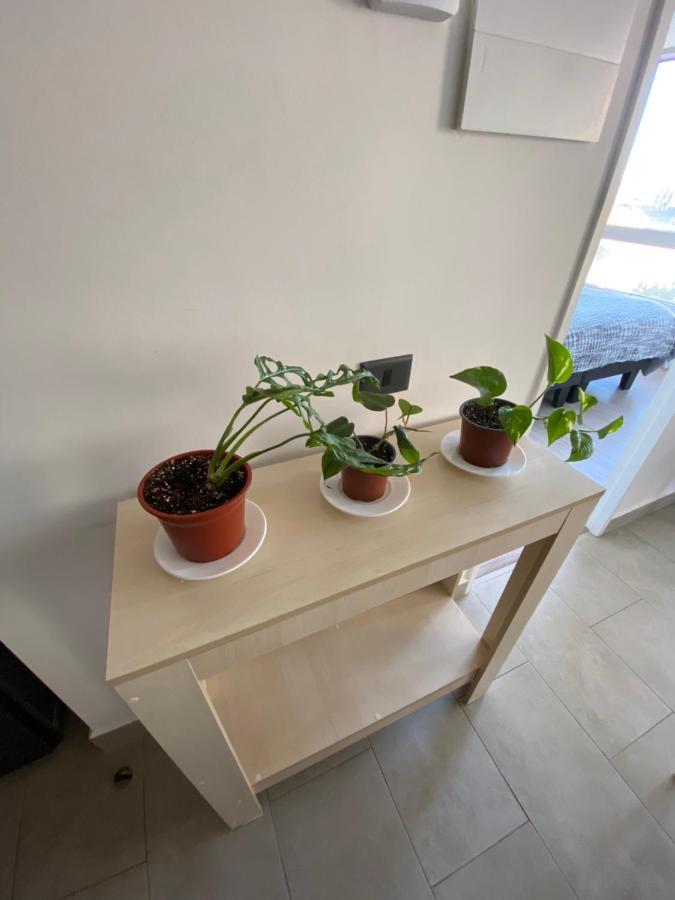 Departamento Central 발디비아 외부 사진
